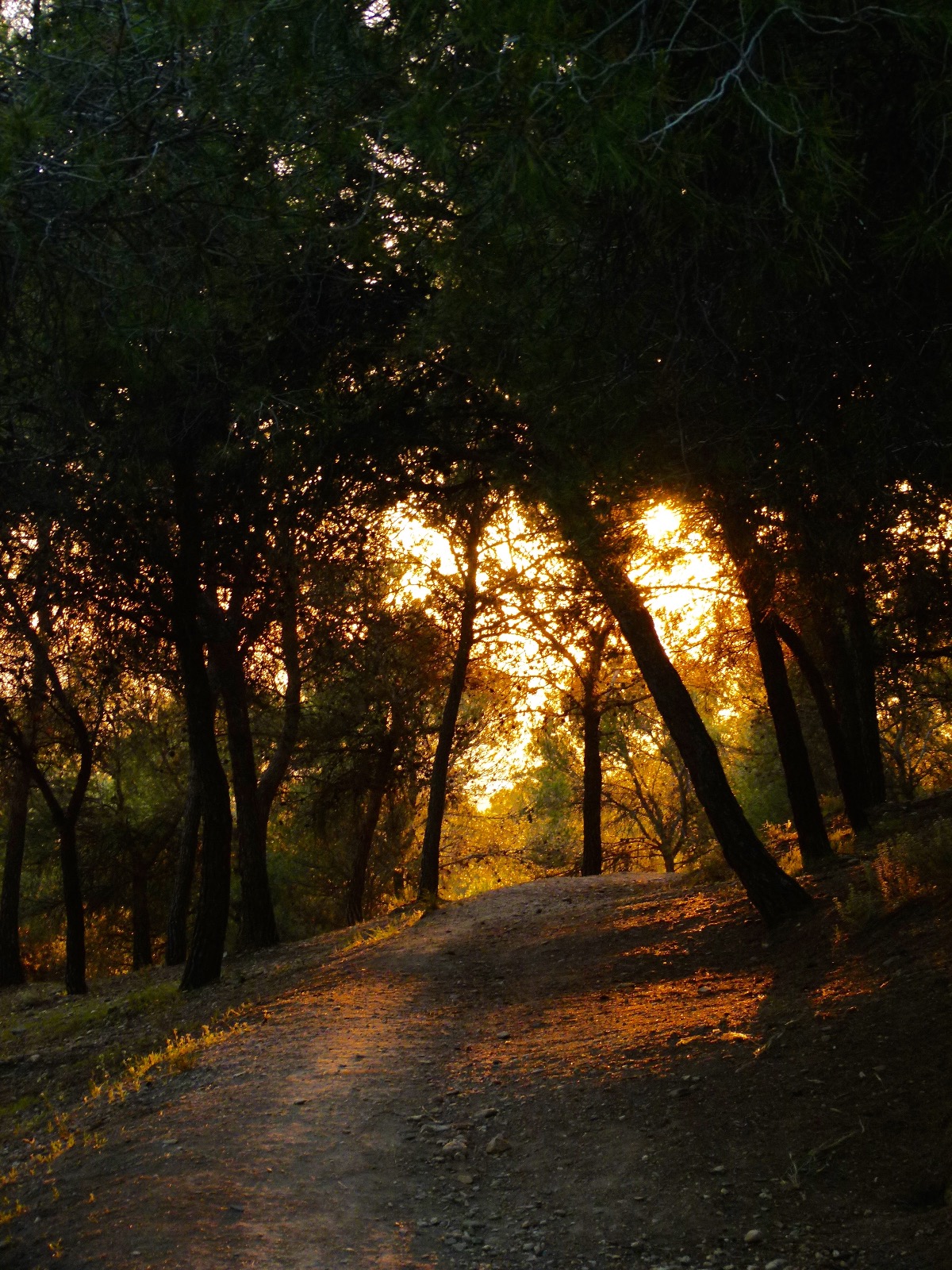 Der Trauer Raum geben - Mantra-Singkreis
